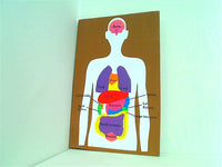 3D Human Body