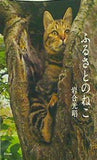 写真文庫 ふるさとのねこ