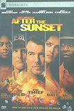 ダイヤモンド・イン・パラダイス After the Sunset  DVD Movie 