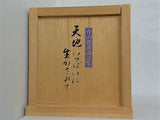 青山俊董講話集 天地いっぱいに生かされて CD全12巻