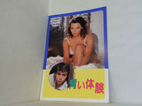 パンフレット 洋画  パンフ 青い体験 1974年版