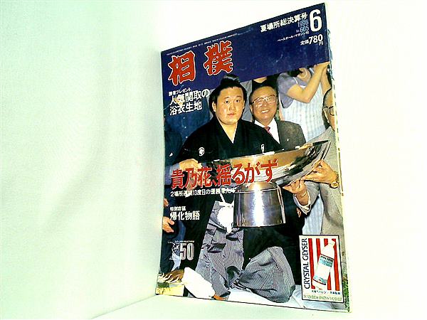 P17 相撲 1996年6月号 水っぽかっ No.605 夏場所総決算号