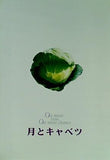パンフレット 月とキャベツ 山崎 まさよし