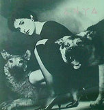 ENYA エンヤ アイルランドの風