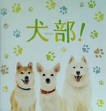 パンフレット 犬部 INUBU
