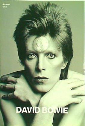 DAVID BOWIE e-MOOK PHOTO & INTERVIEW 未開封 DAVID BOWIE e-MOOK PHOTO & INTERVIEW 未開封