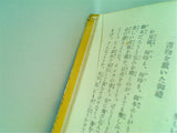 応用自在 最新手紙文 精文館書店