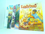 Ladybug the magazine for young children 2004年号 ２月号-６月号,９月号-１２月号。