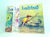 Ladybug the magazine for young children 2005年号 １月号-６月号。