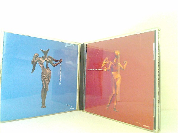 TOMOYASU HOTEI GUITARHYTHM FOREVER