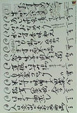 早稲田学報 1267号 2024年 10月号