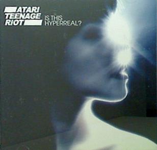 ATARI TEENAGE RIOT IS THIS HYPERREAL