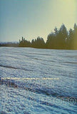 BLIZZARD MUSIC TALK ＆ PHOTO BOOK キャラメルボックス