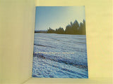 BLIZZARD MUSIC TALK ＆ PHOTO BOOK キャラメルボックス