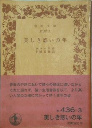 美しき惑いの年 カロッサ作 手塚富雄訳 岩波文庫