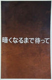 暗くなるまで待って