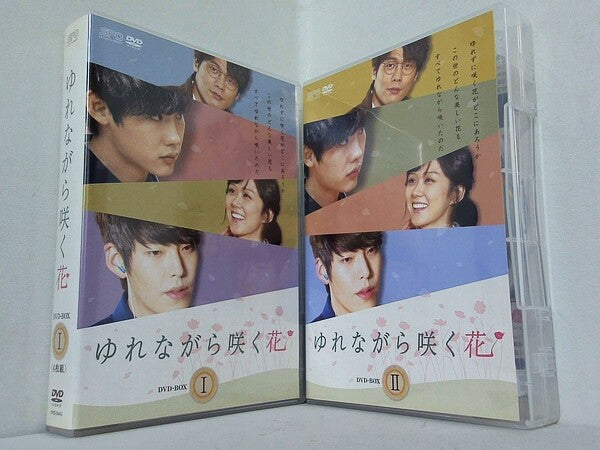 ゆれながら咲く花 DVD-BOX I II