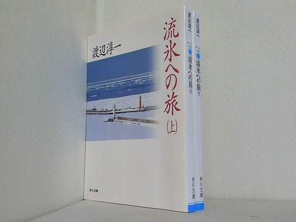 流氷への旅 角川文庫 渡辺 淳一 上下巻。