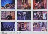 或る,ノライヌ KATUTA