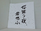 桜舞う夜 君想ふ STAR JACKS