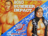 2010 SUMMER IMPACT