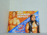 2010 SUMMER IMPACT