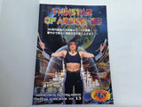 TWINSTAR OF ARSION '99 HYPER VISUAL FIGHTING ARSION OFFICIAL GUIDE BOOK VOL.13