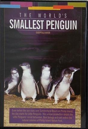 世界最小のペンギン THE WORLD'S SMALLEST PENGUIN