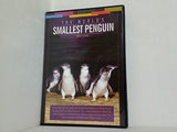 世界最小のペンギン THE WORLD'S SMALLEST PENGUIN