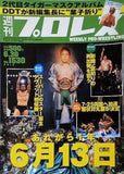 週刊プロレス 2010年 6月30日号 No.1530