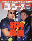 週刊ゴング 1999年 6月10日号 No.768