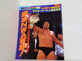 週刊ゴング 1991年 4月8日増刊号