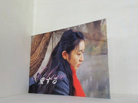 愛する 酒井美紀 渡部篤郎 1997年