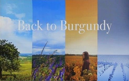 Back to Burgundy おかえり,ブルゴーニュへ