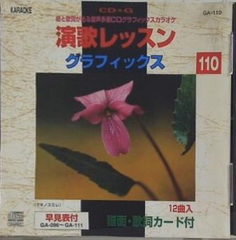 演歌レッスン グラフィックス 白雲の城 など 110