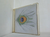 XTC Apple Venus Volume 1