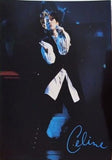 セリーヌ・ディオン THE COLOUR OF MY LOVE TOUR 1994年