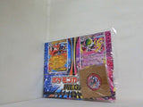 ポケモンファン 95号 コロコロイチバン！ 2025年 11月号増刊 付録