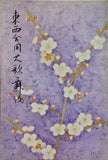 東西合同大歌舞伎 1961年 2月