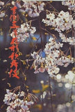 吉例三月花形歌舞伎 1978年 3月