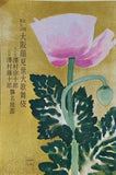 吉例 第九回 大阪顔見世大歌舞伎 1977年 5月
