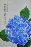 六月大歌舞伎 市川猿之助 奮斗公演 1979年 6月