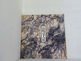 図録・カタログ 長崎莫人展 戦後日本画の一軌跡 青梅市立美術館 1988