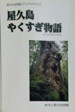 屋久島 やくすぎ物語 屋久杉自然館