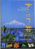 さいはての花 フラワートレッキング 利尻 礼文 サロベツ