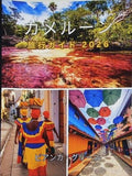カメルーン 旅行ガイド 2026 ビアンカ・グリーン
