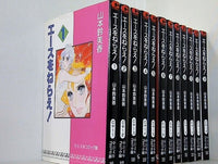 エースをねらえ！ 山本鈴美香 中公文庫 １巻-１２巻。
