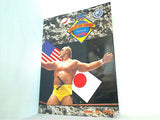 パンフレット WWF 日米レスリング・サミット TOKYO DOME April 13  1990