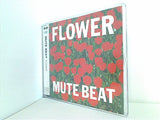 MUTE BEAT FLOWER