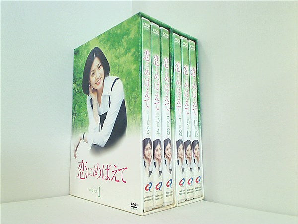 恋にめばえて DVD-BOX